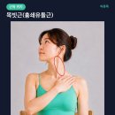 바른목 5분 스트레칭 : #4 목빗근(흉쇄유돌근) 스트레칭 — 목 앞·옆 뻐근함과 거북목 이미지