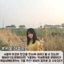 가을에 가기 좋은 국내 여행지 BEST 이미지