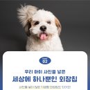 안녕펫(물어보개) 이미지