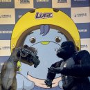 킹콩 골프연습장 | 여수 롤글라이더 루지 커플 가족 테마파크🎡🧸(유월드 루지 테마파크)