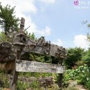 환상숲곶자왈공원 티스토리