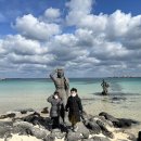 비양동 탈의장 | 제주 우도 당일코스 꼭 가봐야할 곳 추천 feat. 배시간 및 버스투어 이용 후기