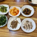 오대산 달빛 이미지