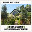 꽃보다예쁘개 | 청주 오창카페 숲이그린정원, 청주가볼만한곳 분위기 좋은 정원카페