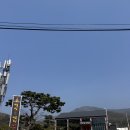 양도면-8 | 강화도당일치기 맛집 별빛캠핑숲식당 캠핑식당 한돈 참숯초벌구이 후기