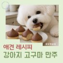 애견＆만들기 | 강아지 고구마 만주 만들기 애견수제간식 후기