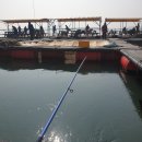 해맞이좌대낚시터 이미지