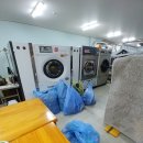 대동세탁소 이미지