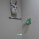 멀티플러스 이미지