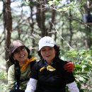 임휴사 - 1140 | 대구청룡산(794m)~임휴사08.05.31