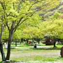 달궁자동차야영장 이미지