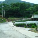 송선주유소 Daum카페