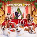 프린스펫 이미지