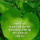 항상 하나님 곁에 머물러 있는 사람 - 예배자 이미지