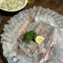 합성동 회집 물마루 / 모듬회에 맛있는 매운탕까지 방문 후기 (메뉴, 주차)