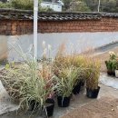 황토사랑민박 이미지