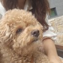 은쌤동물병원 이미지