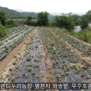 가누리농장 이미지