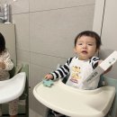 멍멍까까 이미지