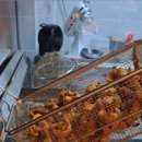 후라이드참잘하는집 정관신도시점 | 바삭한 후라이드, 중독 땡초똥집. 정관 통닭 맛집 고향통닭 정관점 포장 후기