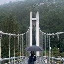 아톰소프트 | 여자 아크테릭스 아톰 후디 XS 사이즈 후기｜봄가을 휘뚜루마뚜루 아우터 추천