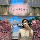 예신필수관리 수원광교 피부관리 리은에서 받은 수원드레스라인관리 후기