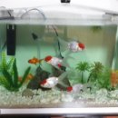 장어세상 이미지