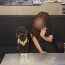 돈데기