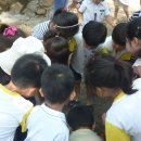 보림유치원 이미지