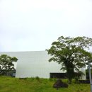 제주가든 | 제주 스누피가든 방문 후기, 비 오는 날 코스로 선택