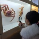 제주해양동물박물관 이미지