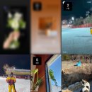 진형목장 이미지