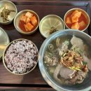 영우목장 | 나쨩 나들이☀️🥭🏜️