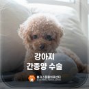 블리스 동물의료센터 이미지