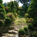 대연농원밥집 이미지