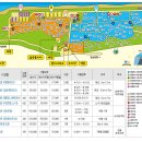 연곡해변 솔향기캠핑장 이미지