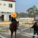 휘게팜 이미지
