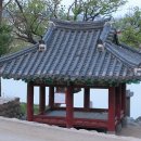 정자 Daum카페