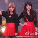 수지양 이미지