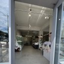 미앤멍 강아지분양 제주본점 | 봄바람 휘날리는 4월의 룰루랄라 신나는 강아지 산책과 안전 목줄 가이드