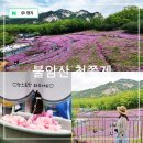 4월 문화가 있는 날 크로키키 브라더스 | 불암산 철쭉동산 철쭉축제 일정 노원 나비정원 데이트 코스