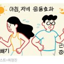 체중 감량 운동은 아침, 근력 운동은 저녁 20230427 조선 이미지