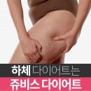 (주)쥬비스다이어트울산점