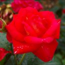 옥구공원 이미지