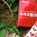 정일슈퍼 이미지