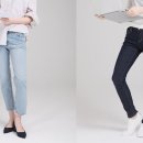 쉬즈라인 이미지