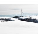 삼양목장 이미지