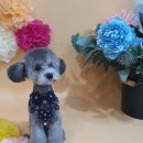 제이앤제이 그루밍 이미지