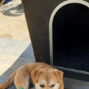 상신경1길 이미지