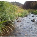 냇가민박 이미지